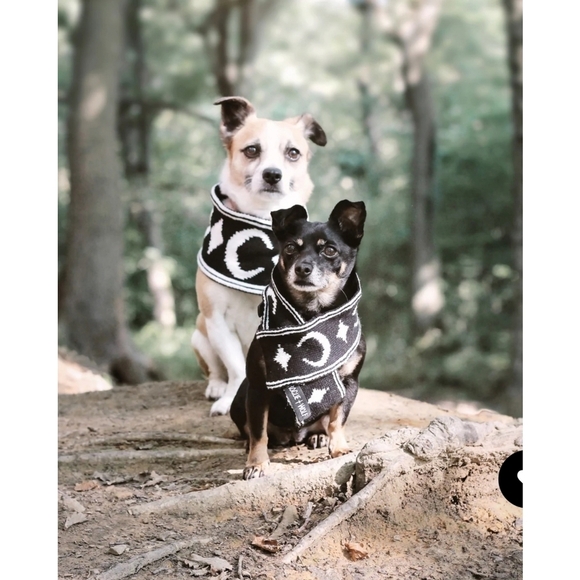Rogue + Wolf ✦ “Moon Pupper” Knit Pet Scarf ✦ Black Vegan Yarn Celestial Print - Picture 4 of 16